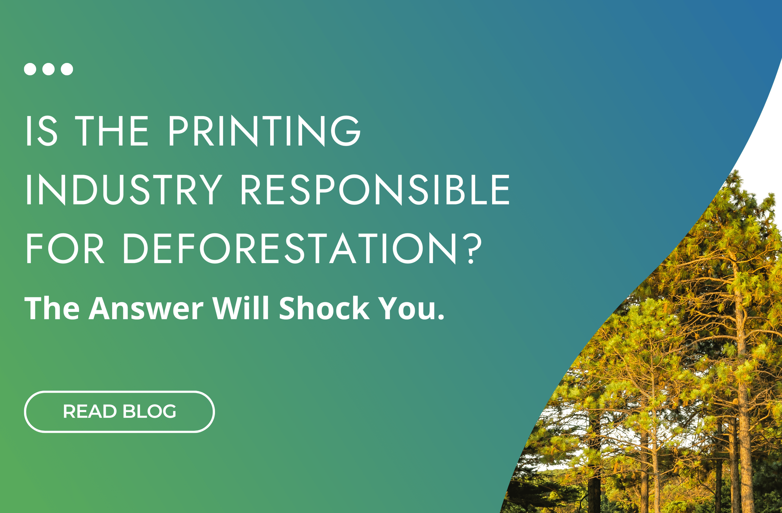 Is the book printing services causing deforestation?